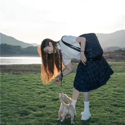 花与蛇